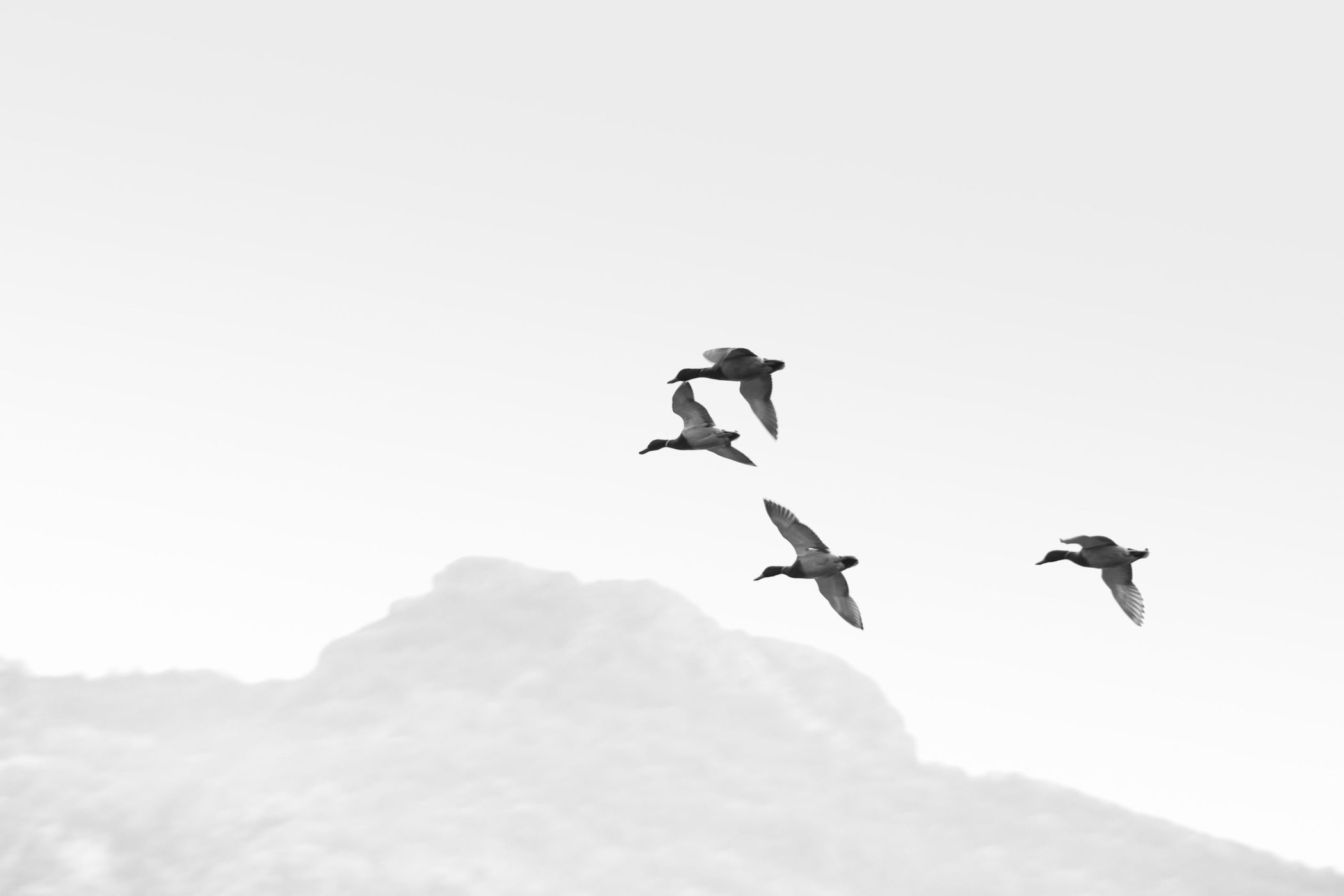 matteo-rimoldi-KwyaGfqPO3Q-unsplash